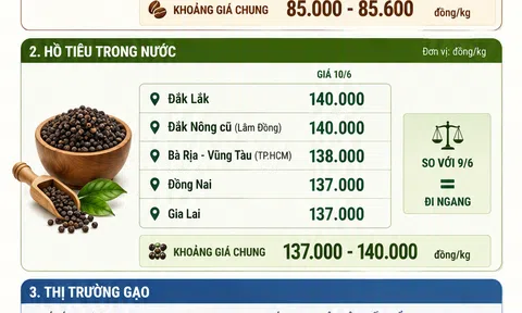 [Infographic] Giá nông sản hôm nay ngày 10/6: Cà phê bật tăng trở lại, hồ tiêu giữ giá, gạo xuất khẩu giảm nhẹ