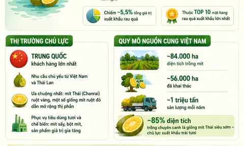 [Infographic] Ngành mít đứng trước cơ hội bứt phá nhờ cú hích từ Trung Quốc