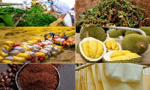 Nông sản Việt Nam chạy đua thích ứng trước tiêu chuẩn nhập khẩu ngày càng cao