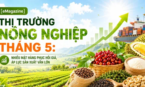 [eMagazine] Thị trường nông nghiệp tháng 5: Nhiều mặt hàng phục hồi giá, áp lực sản xuất vẫn lớn