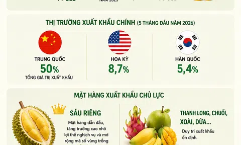 [Infographic] Xuất siêu hơn 1,3 tỷ USD, rau quả Việt đứng trước cơ hội bứt phá