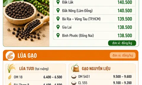 [Infographic] Giá nông sản hôm nay ngày 14/6: Cà phê tiến sát mốc 90.000 đồng/kg, hồ tiêu duy trì vùng giá đỉnh