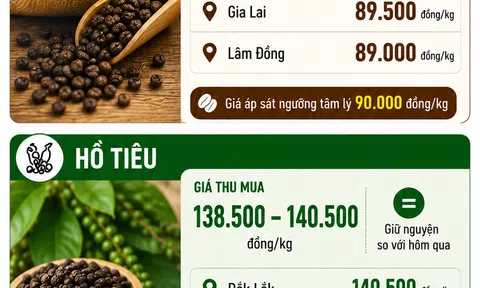 [Infographic] Giá nông sản hôm nay ngày 15/6: Cà phê neo sát mốc 90.000 đồng/kg, hồ tiêu duy trì mặt bằng giá cao tại nhiều địa phương
