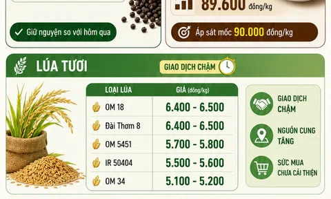 [Infographic] Giá nông sản hôm nay ngày 16/6: Cà phê giữ đỉnh giá, hồ tiêu ổn định, thị trường lúa gạo giao dịch dè dặt