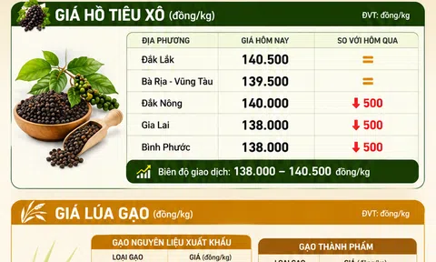 [Infographic] Giá nông sản hôm nay ngày 17/6: Cà phê, hồ tiêu đồng loạt hạ nhiệt, thị trường lúa gạo miền Tây giữ nhịp ổn định