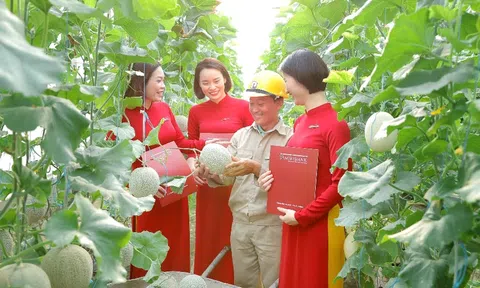 Lan tỏa giá trị xanh, đồng hành cùng doanh nghiệp phát triển bền vững