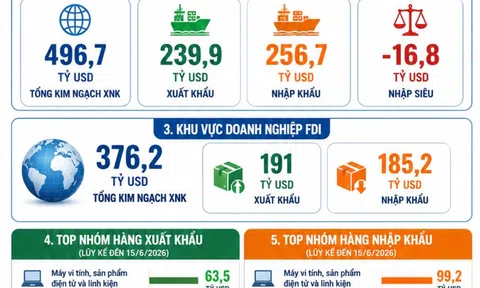 [Infographic] Nhập khẩu bứt tốc trong tháng 6, xuất nhập khẩu cả nước tiến sát mốc 500 tỷ USD