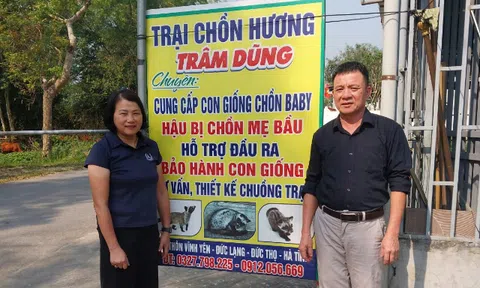 Bén duyên với chồn hương, vợ chồng Hà Tĩnh thu tiền tỷ mỗi năm
