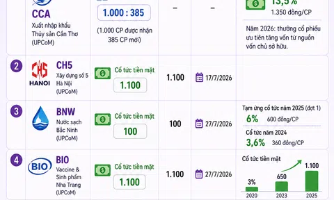 [Infographic] Nhiều doanh nghiệp triển khai chi trả cổ tức bằng tiền và cổ phiếu