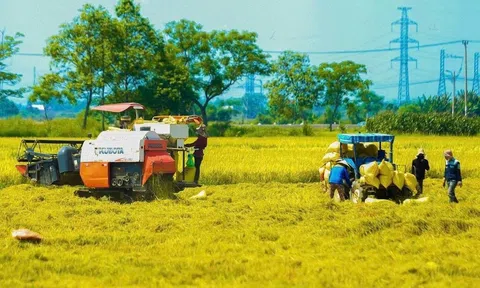 Hoàn thiện dự án sửa đổi 10 luật nhằm đơn giản hóa thủ tục nông nghiệp - môi trường