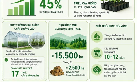 [Infographic] Tổng Công ty Lâm nghiệp Việt Nam đặt mục tiêu cung ứng 315 triệu cây giống chất lượng cao trong 5 năm tới