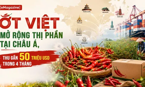 [eMagazine] Ớt Việt mở rộng thị phần tại châu Á, thu gần 50 triệu USD trong 4 tháng