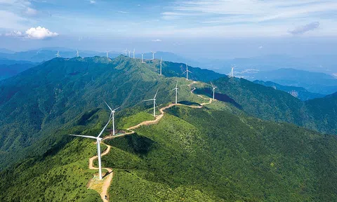 Việt Nam chính thức có thị trường carbon, thúc đẩy mô hình tăng trưởng bền vững