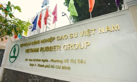 Tập đoàn Công nghiệp Cao su Việt Nam báo lãi 5 tháng gần 3.900 tỷ đồng, tăng tốc với hai trụ cột cao su và khu công nghiệp