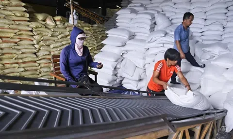Giá cà phê trở lại mốc 90.000 đồng/kg, gạo xuất khẩu tiếp tục nhích giá