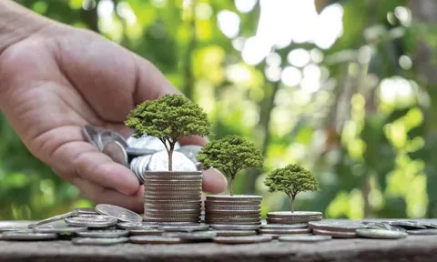 Doanh nghiệp chờ cú hích từ chính sách tín dụng xanh