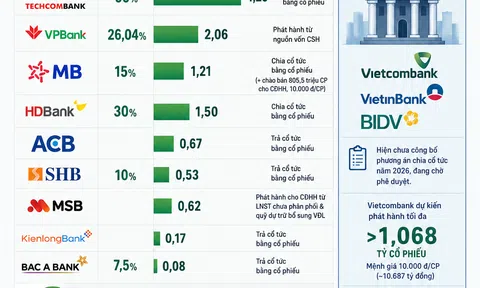 [Infographic] Techcombank, VPBank dẫn đầu làn sóng phát hành cổ phiếu quy mô lớn