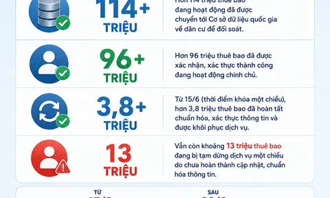 [Infographic] Hàng triệu thuê bao chưa xác thực có thể bị ngắt kết nối từ tháng 8