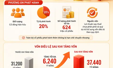 [Infographic] MSB sắp nâng vốn điều lệ thêm 6.240 tỷ đồng, mở rộng dư địa tăng trưởng