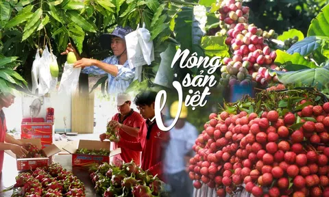 Hàng rào kỹ thuật toàn cầu đồng loạt nâng cao, nông sản Việt đứng trước "phép thử mới"