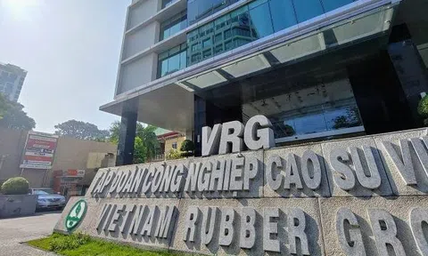 VRG tăng tốc chuyển đổi xanh, nâng giá trị mủ cao su bằng tiêu chuẩn quốc tế