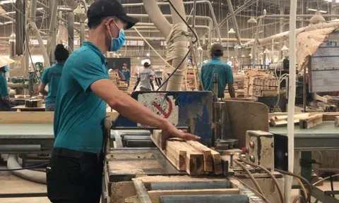 Xuất khẩu gỗ đạt 8,6 tỷ USD sau nửa năm, thị trường dịch chuyển mạnh sang Trung Quốc và EU