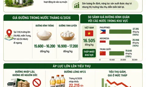[Infographic] Sản lượng đường ổn định nhưng thị trường tiêu thụ vẫn rơi vào thế khó