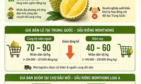 [Infographic] Giá sầu riêng giảm: Điều gì đang xảy ra với ngành hàng tỷ USD?