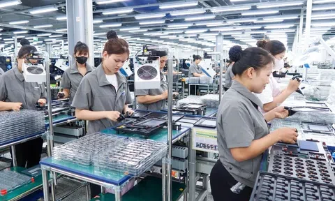 Bộ Tài chính đề xuất gỡ vướng cho doanh nghiệp chậm hoàn tất giải thể