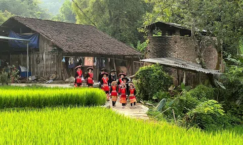 UNESCO gợi mở mô hình phát triển nông thôn gắn với bản sắc riêng của Hà Nội