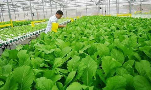 EU nâng tiêu chuẩn kiểm soát nông sản hữu cơ, hướng tới thị trường minh bạch