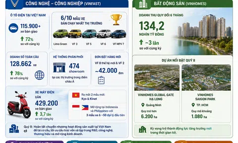 [Infographic] Vingroup vượt kỳ vọng lợi nhuận sau 6 tháng, nhiều lĩnh vực cùng tăng trưởng