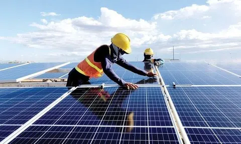 Điện mặt trời trở thành động lực chính của tăng trưởng nguồn điện toàn cầu