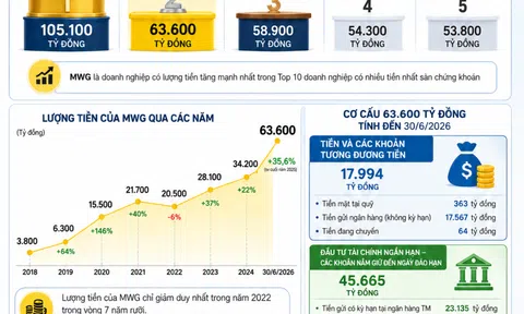 [Infographic] Thế giới Di động nắm 63.600 tỷ đồng, vươn lên Top 2 doanh nghiệp giàu tiền mặt trên sàn chứng khoán