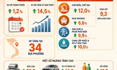 [Infographic] Chỉ số sản xuất công nghiệp 7 tháng tăng mạnh, lập mức cao nhất trong nhiều năm