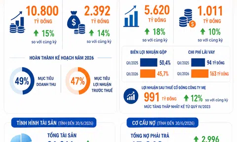 [Infographic] FPT Telecom thu hơn 10.800 tỷ đồng sau nửa năm, lợi nhuận tăng 14%
