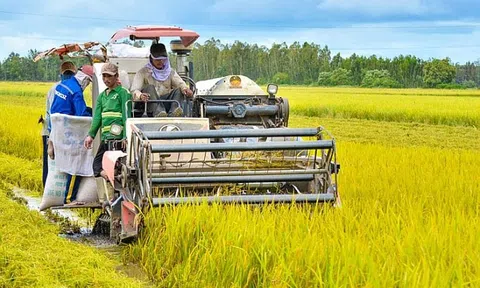 Hàng loạt thủ tục trong lĩnh vực nông nghiệp, môi trường được đề xuất cắt giảm