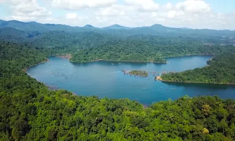 Hơn 430.000 ha rừng mở cơ hội đưa Điện Biên vào thị trường tín chỉ carbon