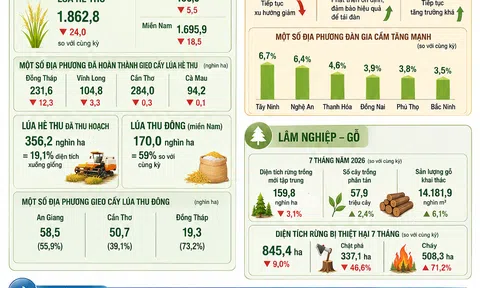 [Infographic] Nông, lâm, thủy sản 7 tháng năm 2026: Động lực tăng trưởng đến từ gỗ và thủy sản