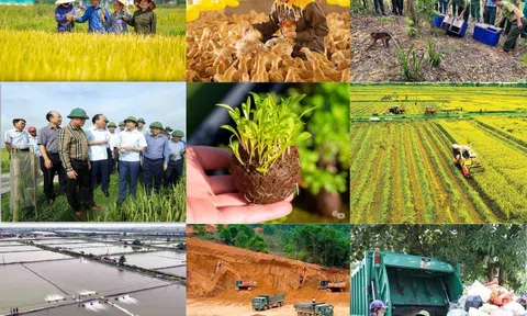 Đơn giản hóa thủ tục nông nghiệp: Không để khoảng trống trong khâu hậu kiểm