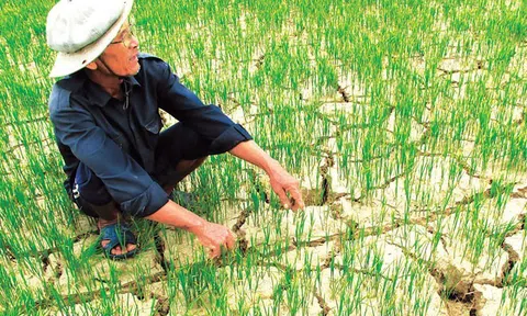 El Niño mạnh đến rất mạnh, cảnh báo áp lực nguồn nước mùa khô 2026-2027