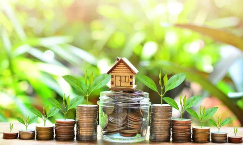 Những tiêu chí quyết định sức hút của dự án carbon với dòng vốn quốc tế