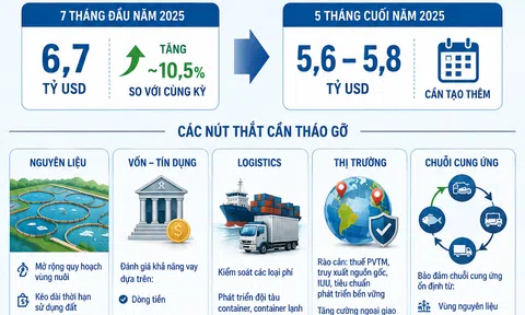 [Infographic] Xuất khẩu thủy sản hướng tới mốc 12,5 tỷ USD trong năm 2026