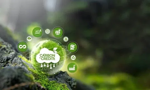 Đề xuất đưa quyền phê duyệt dự án tín chỉ carbon về địa phương