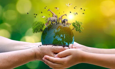 Thúc đẩy du lịch có trách nhiệm, tăng nguồn lực bảo vệ loài hoang dã