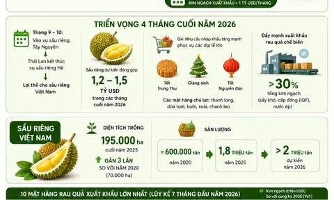 [Infographic] Rau quả Việt Nam tăng tốc, kim ngạch xuất khẩu tiến sát 6 tỷ USD