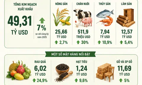 [Infographic] Xuất khẩu nông lâm thủy sản tăng 7%, đạt gần 49,31 tỷ USD