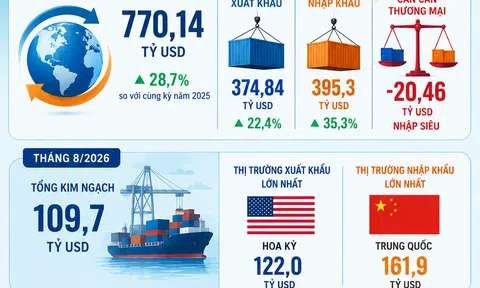 [Infographic] Xuất nhập khẩu 8 tháng tăng mạnh, cán cân thương mại nhập siêu 20,46 tỷ USD