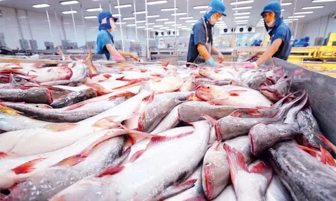 Xuất khẩu thủy sản Việt Nam sau 8 tháng vẫn tiếp tục duy trì mức tăng trưởng hai con số