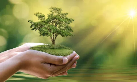 Hoàn thiện khung nhận diện dự án xanh, mở rộng hỗ trợ doanh nghiệp